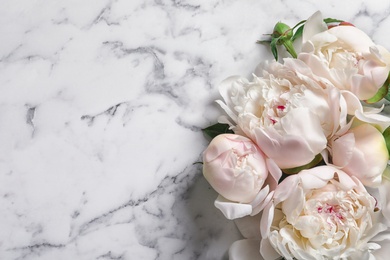 Photo of Beautiful blooming peony flowers on marble background