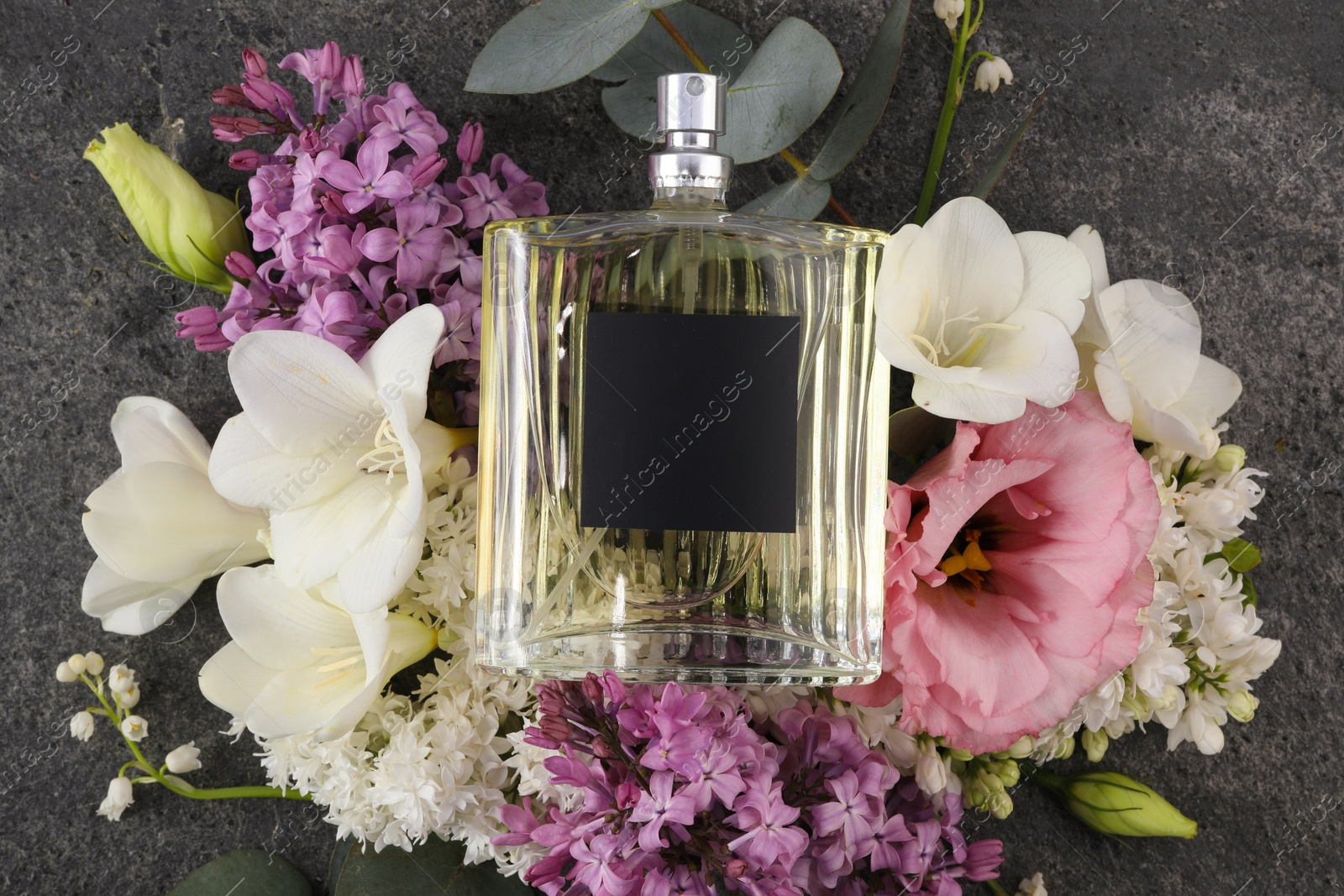 Photo of Bottle of luxury perfume and floral decor on dark grey table, top view