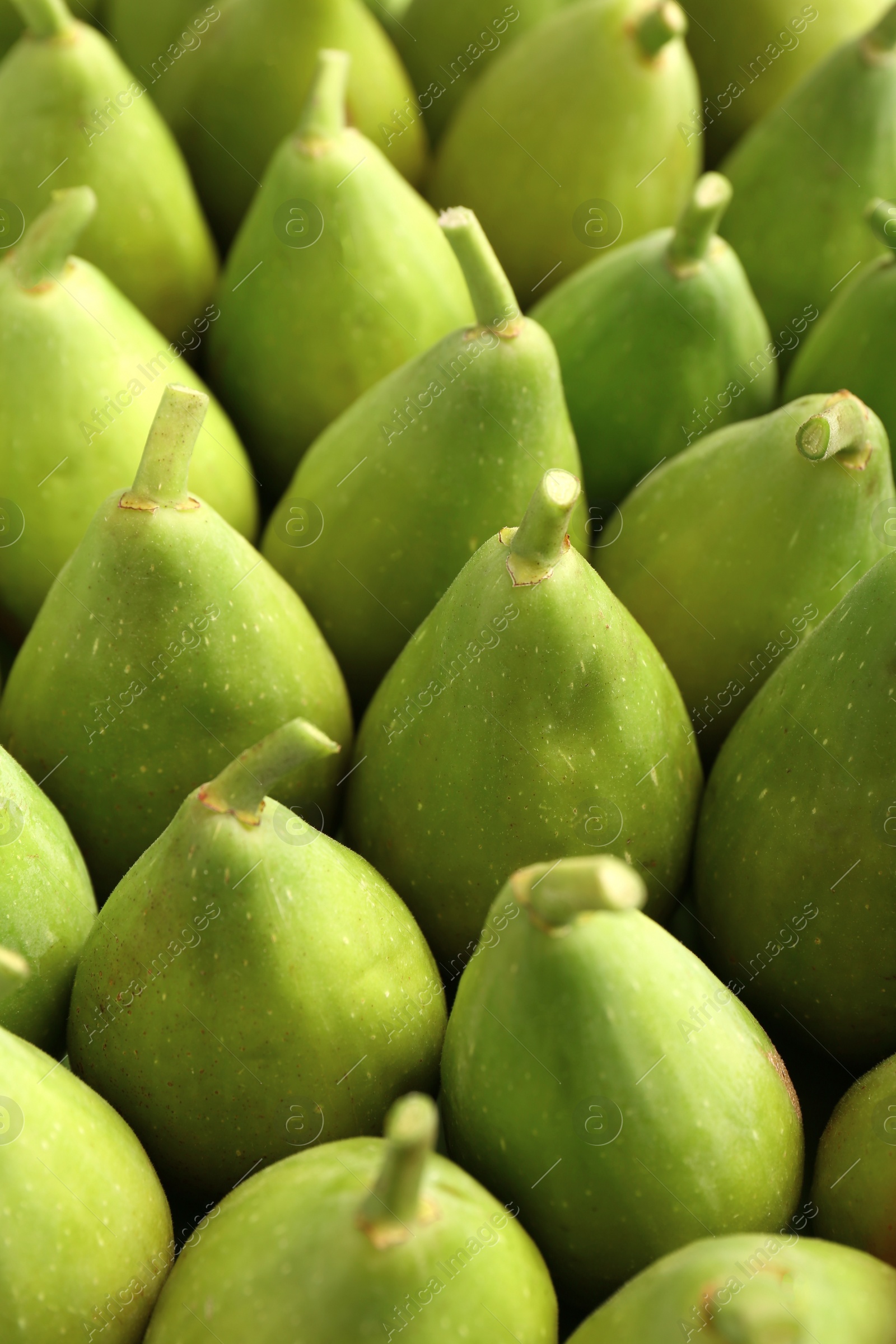 Photo of Many fresh green figs as background, closeup