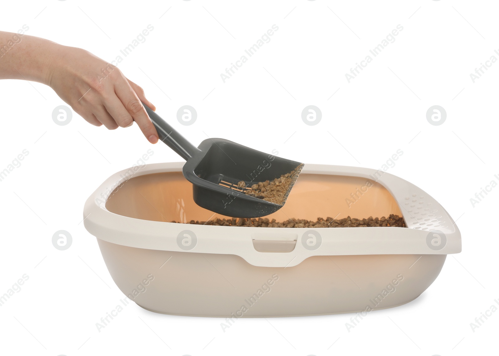 Photo of Woman cleaning cat litter tray on white background, closeup