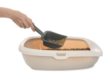 Woman cleaning cat litter tray on white background, closeup