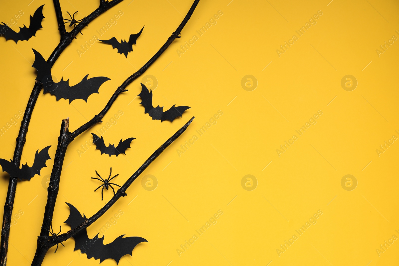 Photo of Flat lay composition with black branches, paper bats and spiders on yellow background, space for text. Halloween celebration