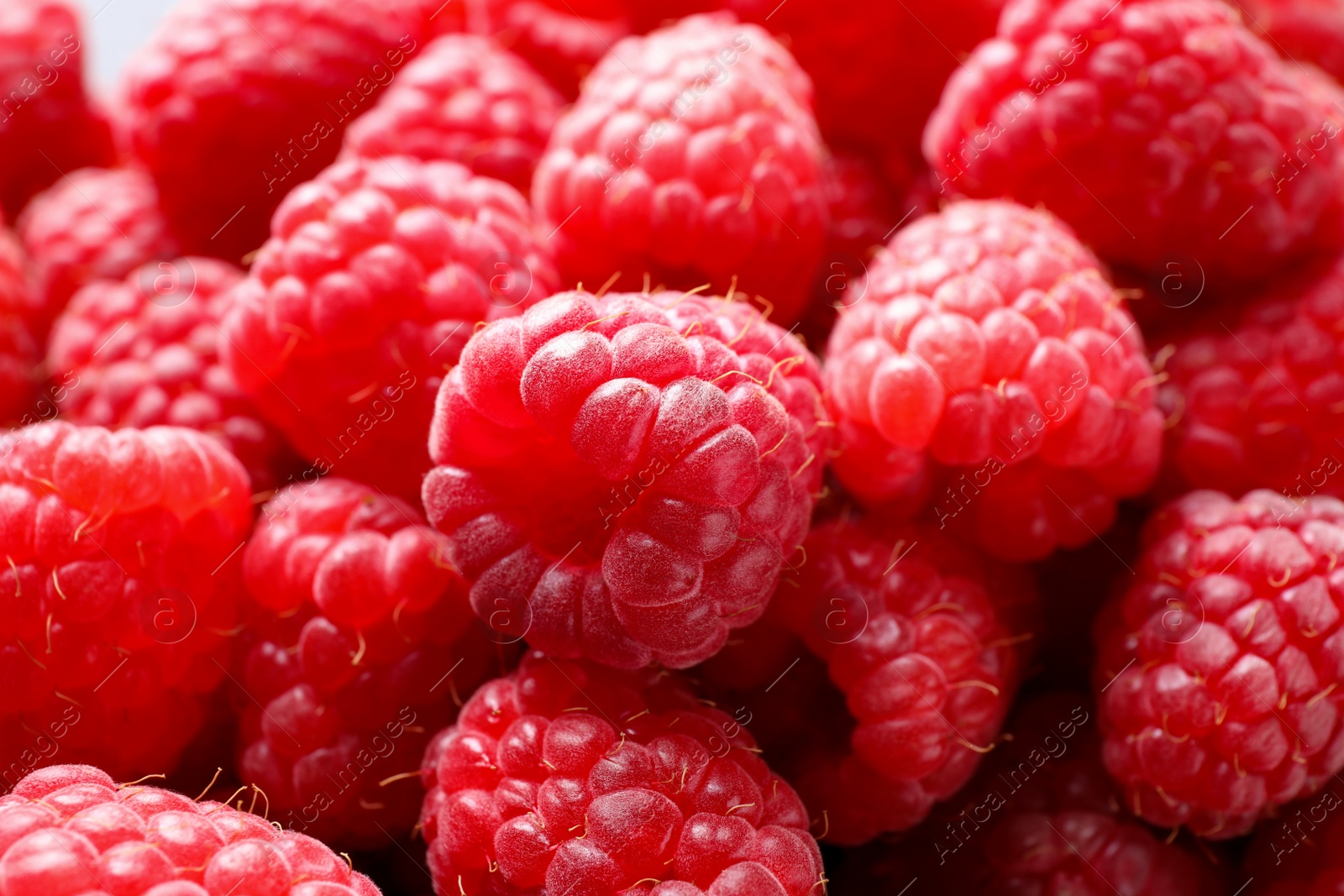 Photo of Fresh sweet ripe raspberries as background, closeup