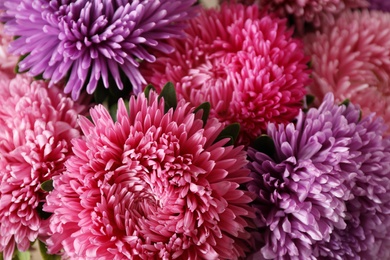 Photo of Beautiful aster flowers as background, closeup view