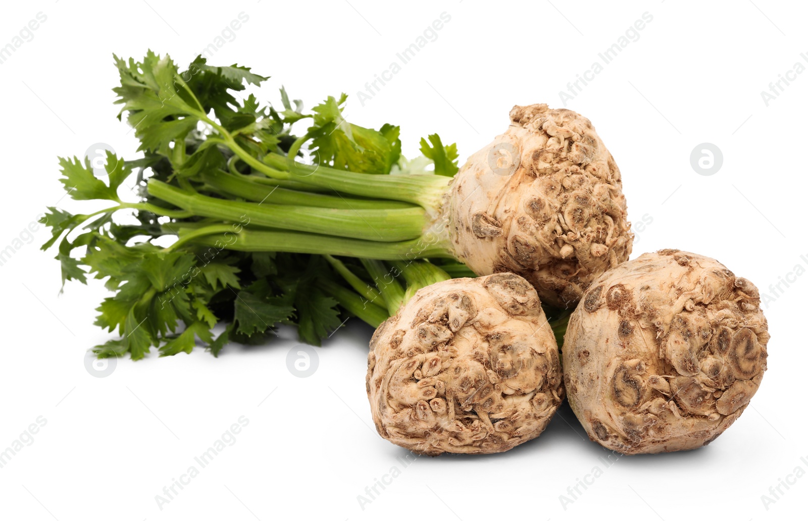 Photo of Fresh raw celery roots with stalks isolated on white