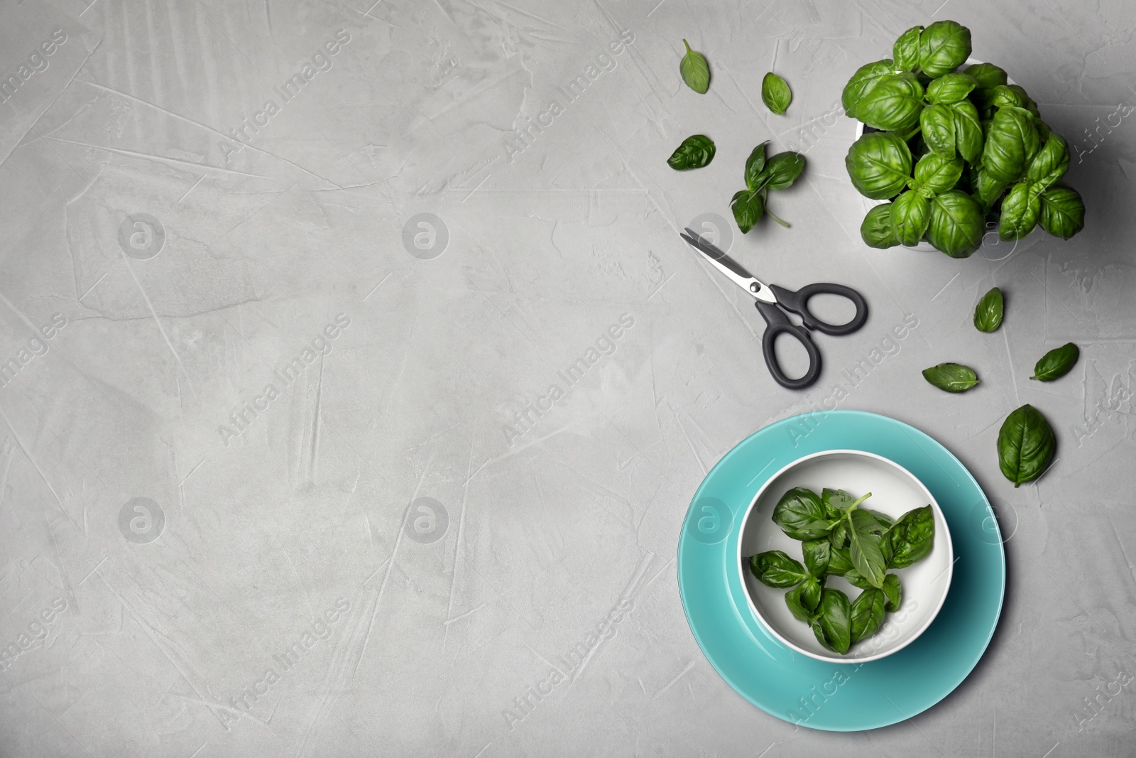 Photo of Flat lay composition with fresh basil leaves and space for text on table