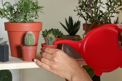 Photo of Woman watering indoor plants near wall at home, closeup