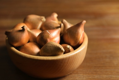 Photo of Tulip bulbs in bowl on wooden table, closeup