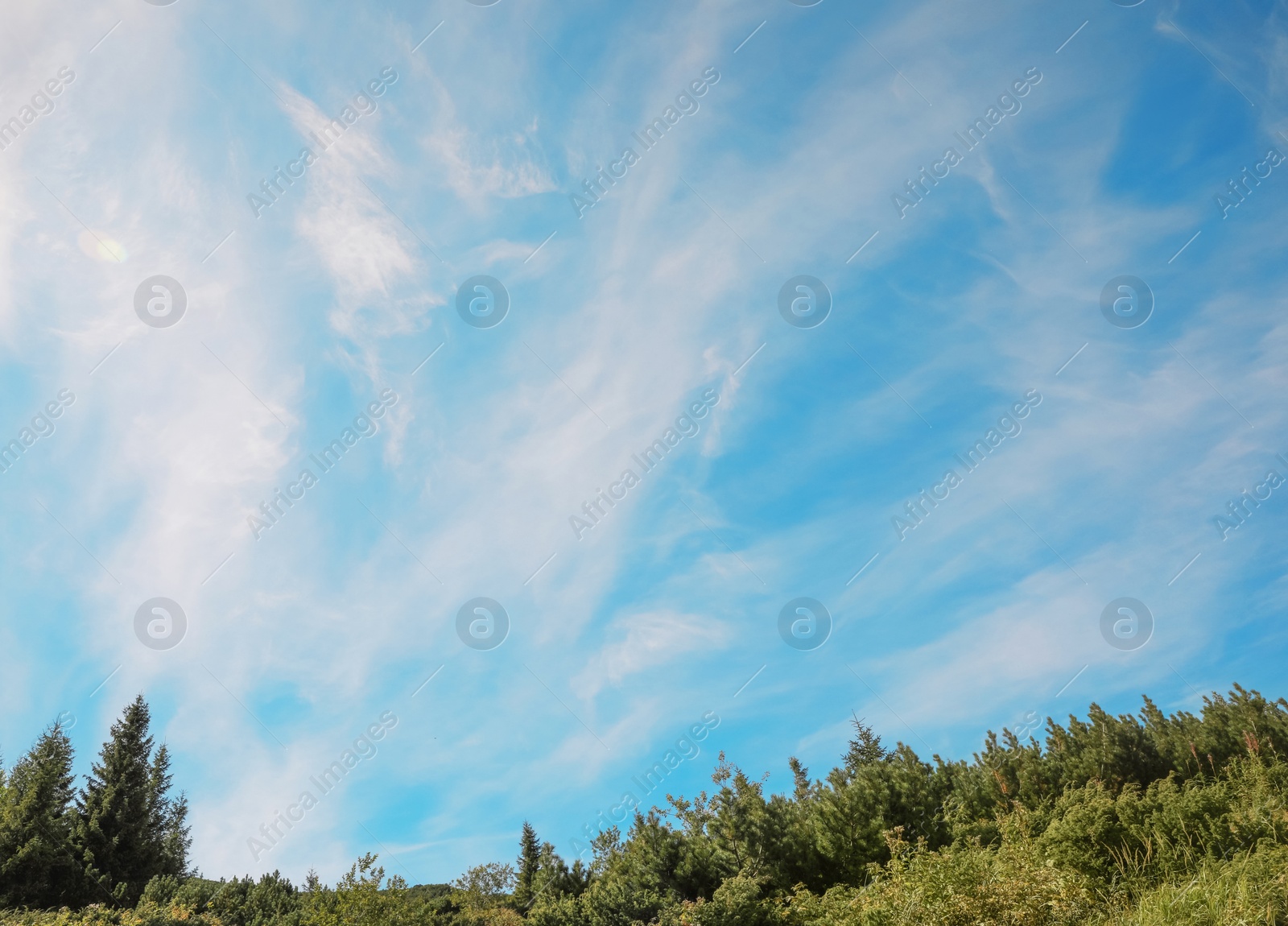 Photo of Picturesque view of sky with clouds over forest