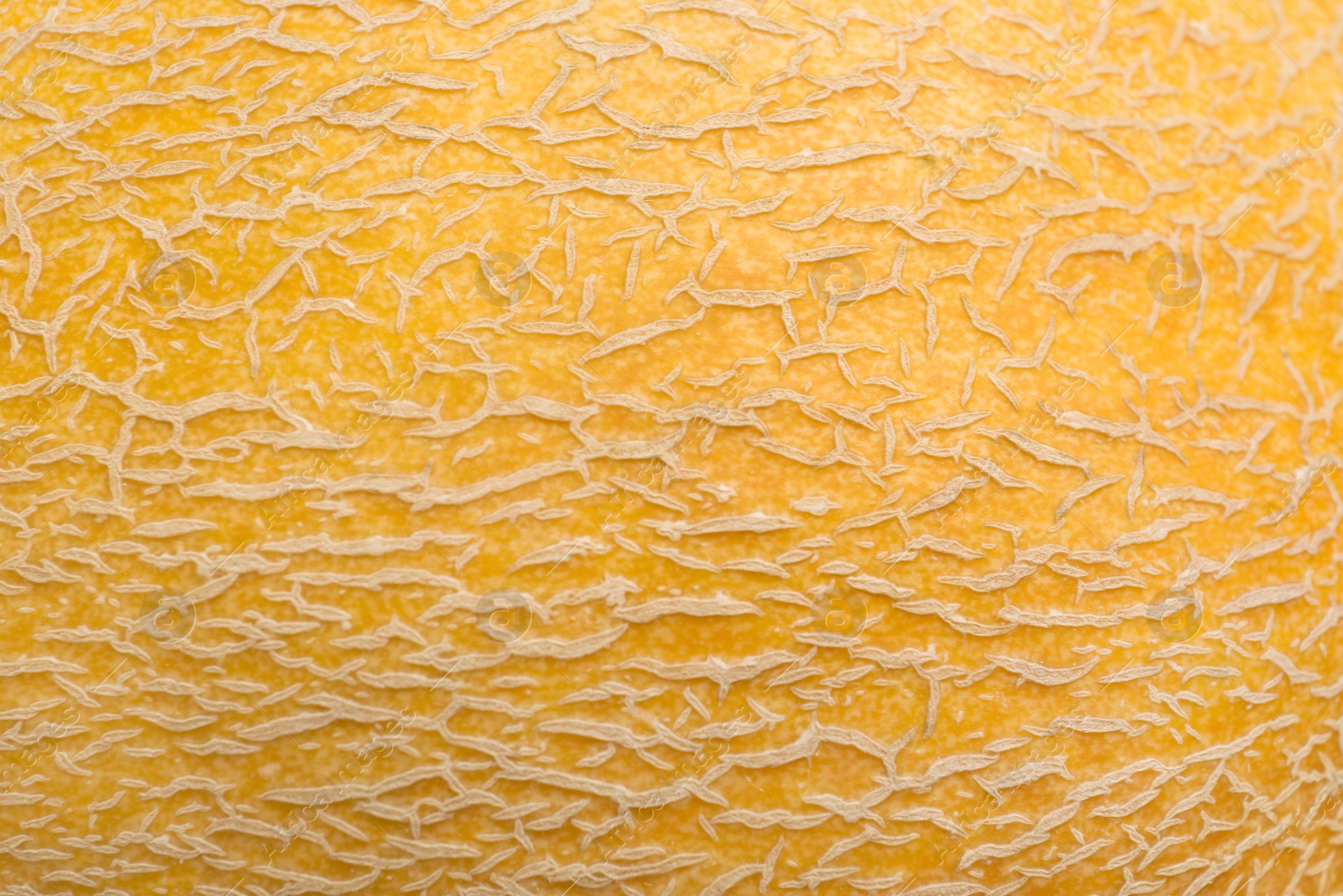 Photo of Whole tasty ripe melon as background, closeup