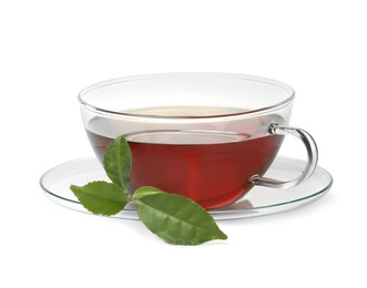 Glass cup of hot aromatic tea and green leaves on white background