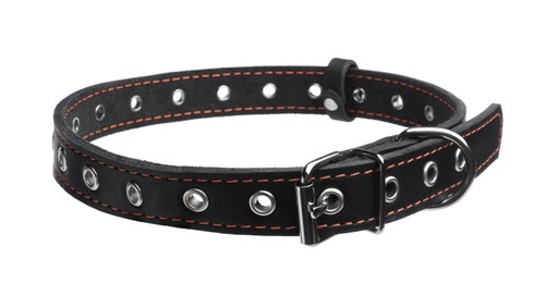 Black leather dog collar isolated on white