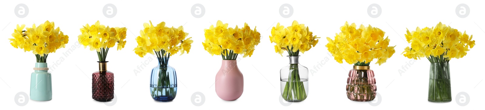 Image of Collage of stylish vases with beautiful daffodil bouquets on white background