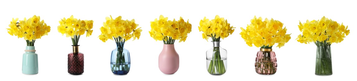 Collage of stylish vases with beautiful daffodil bouquets on white background