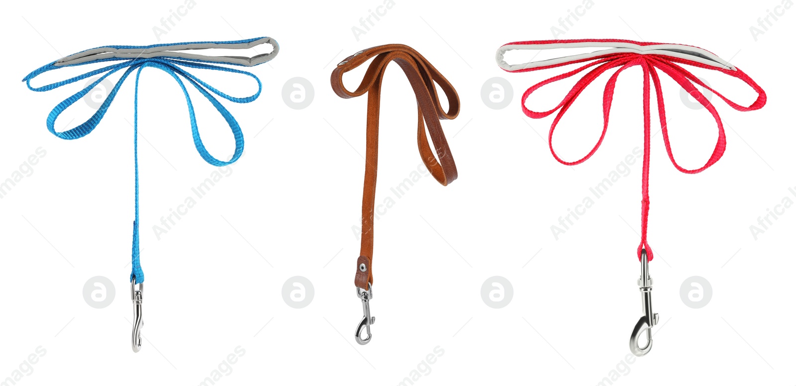 Image of Different pet leashes on white background, collage design