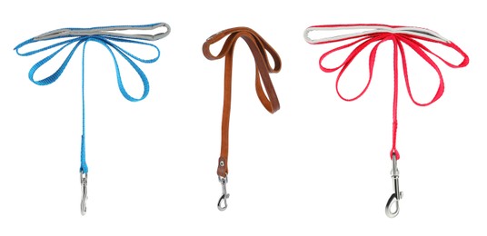 Different pet leashes on white background, collage design