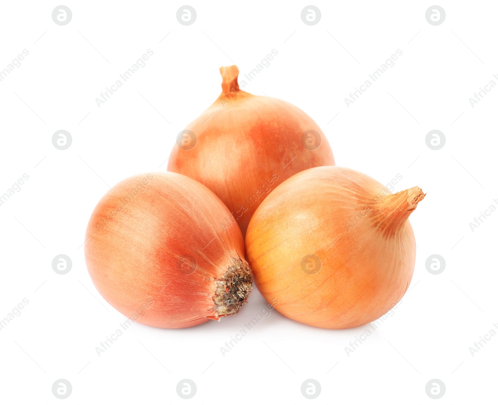 Photo of Fresh yellow onion bulbs isolated on white