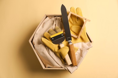 Photo of Box with many different beekeeping tools on beige background, top view