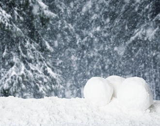Image of Snowballs in coniferous forest. Winter outdoor activity