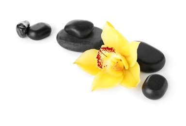 Photo of Spa stones and beautiful orchid on white background