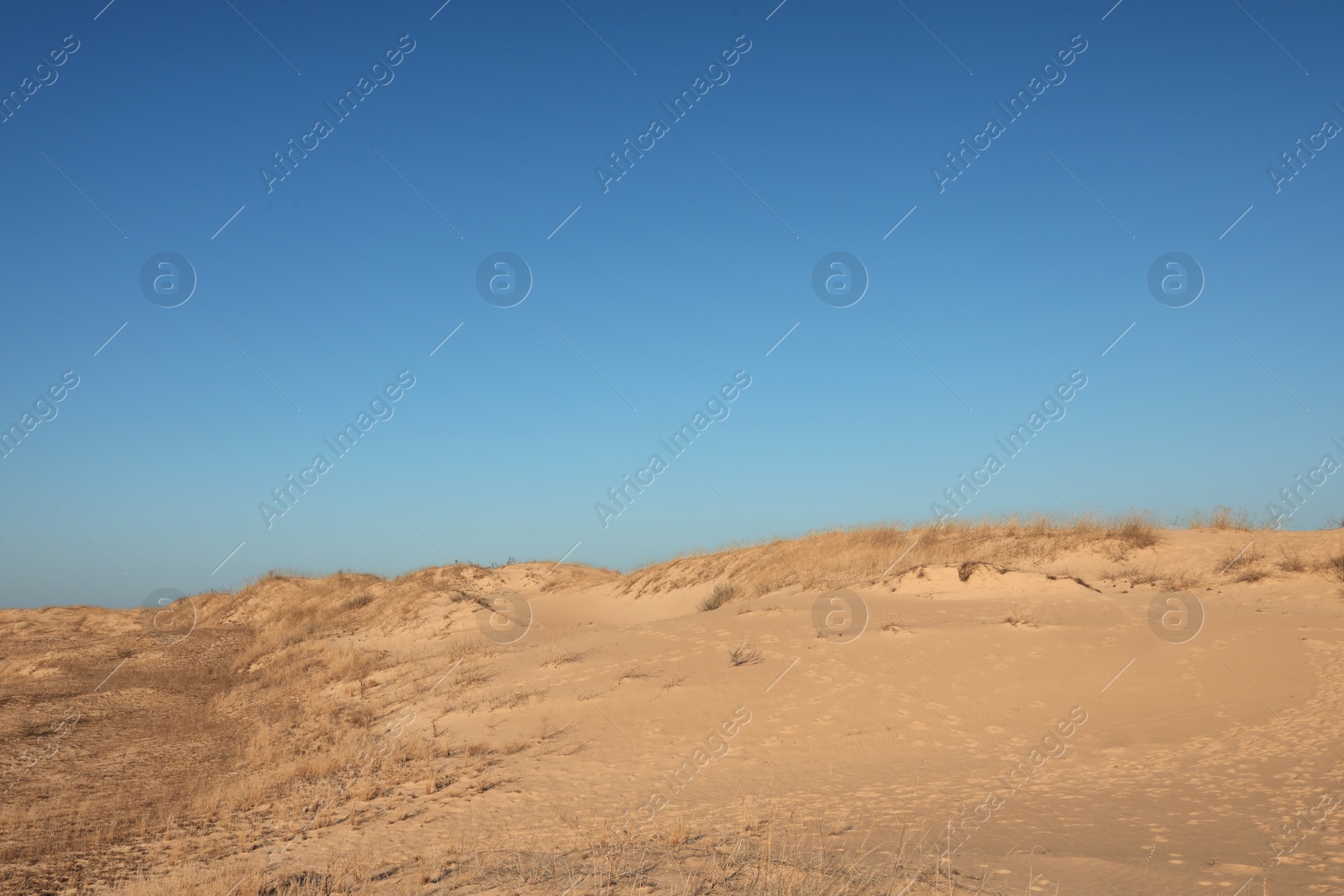 Photo of Picturesque view of desert on sunny day