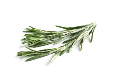 Photo of Fresh rosemary on white background