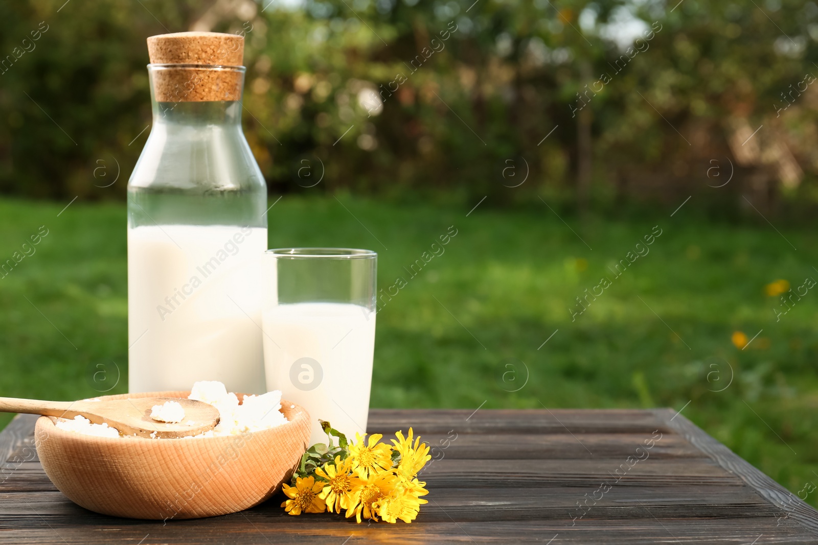 Photo of Tasty fresh milk and cottage cheese on wooden table outdoors. Space for text