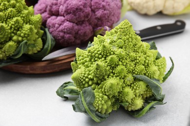 Different fresh cabbages and knife on white table