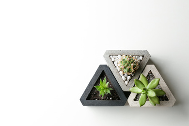 Photo of Succulent plants and cactus on white table, flat lay. Space for text