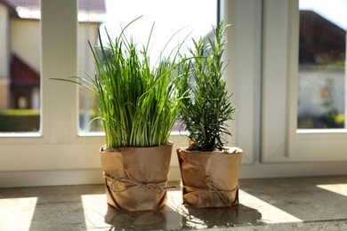 Photo of Potted green chives and rosemary plants on windowsill indoors. Aromatic herbs