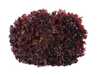 Photo of Head of fresh red coral lettuce isolated on white