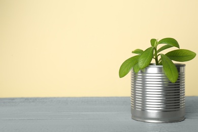 Beautiful houseplant in tin can on grey wooden table. Space for text