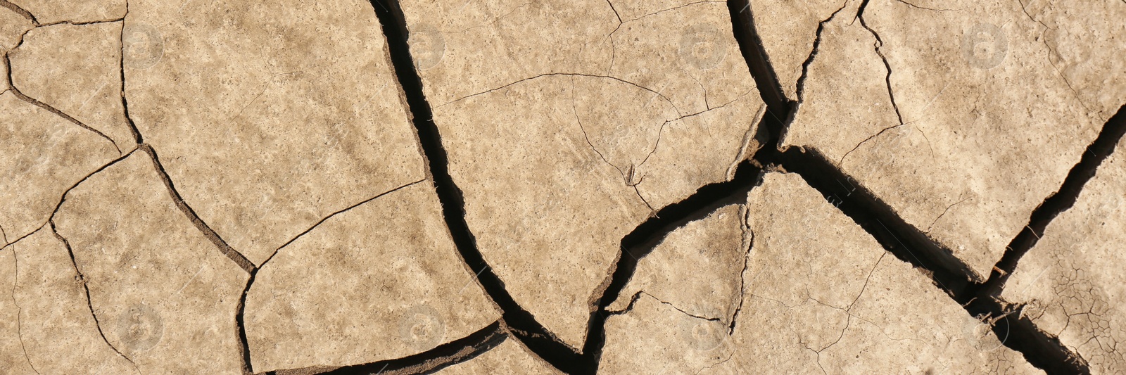 Image of Dry cracked ground as background, top view. Banner design