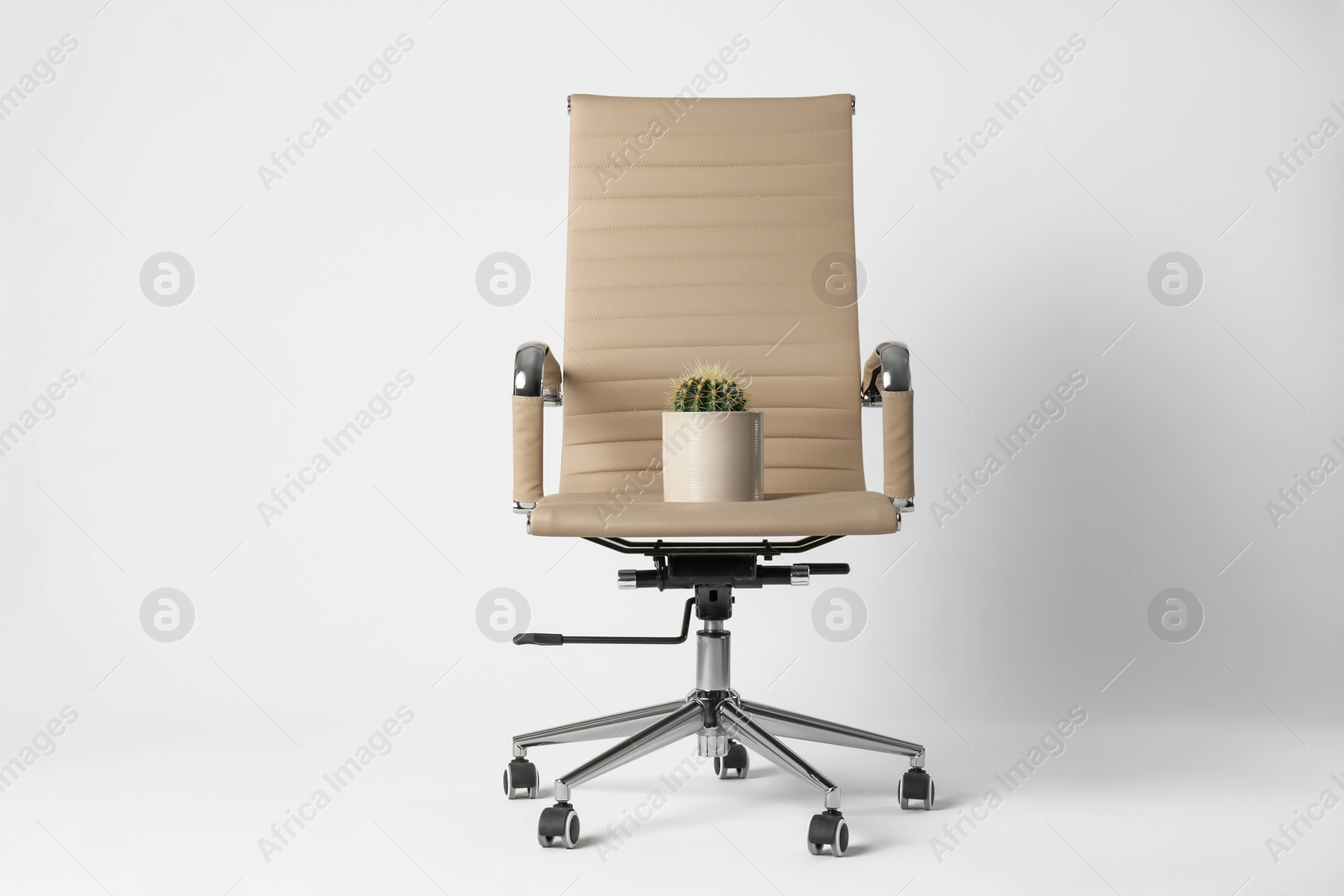 Photo of Office chair with cactus isolated on white. Hemorrhoids concept