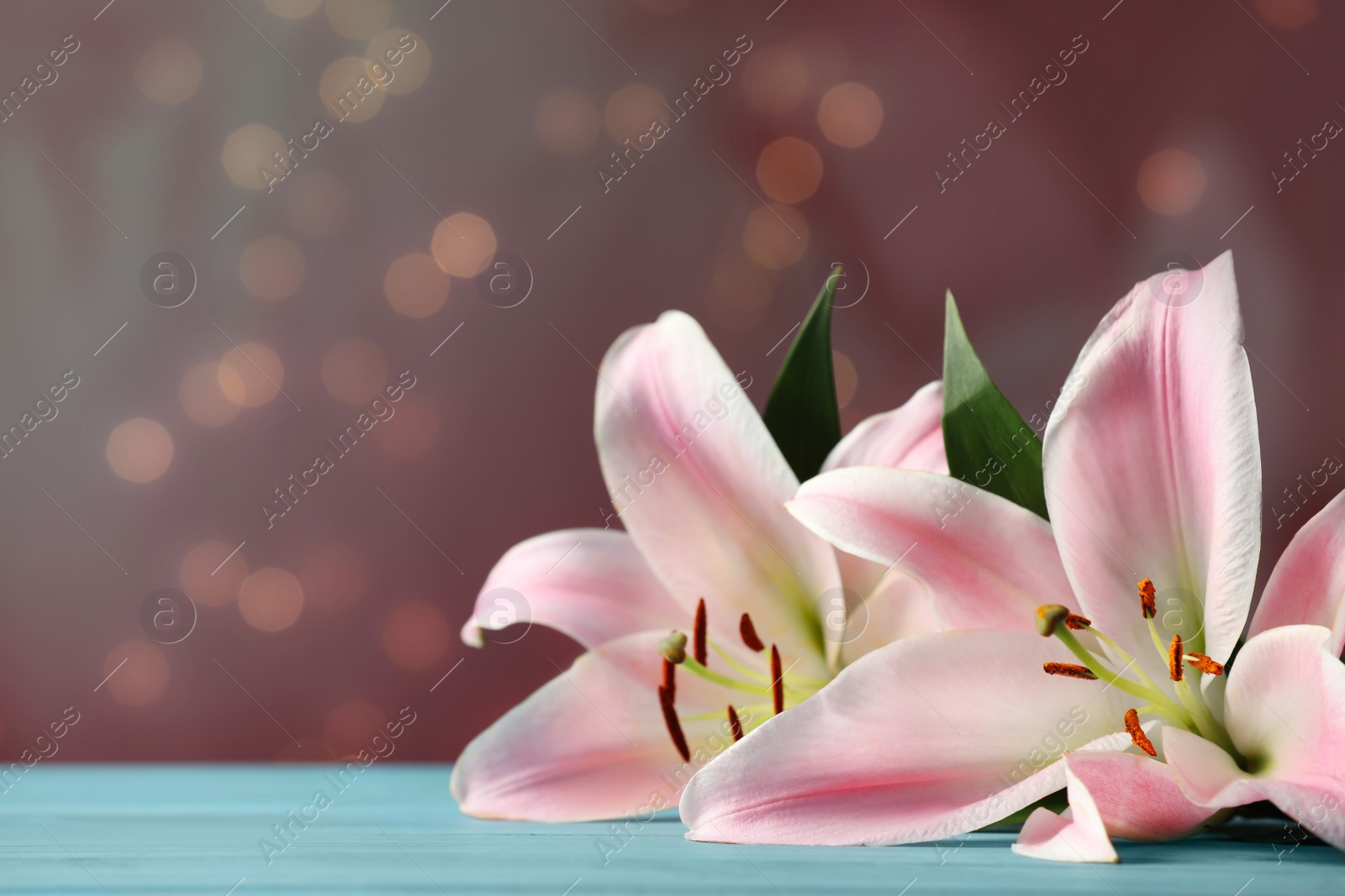 Photo of Beautiful pink lily flowers on turquoise table against blurred lights, space for text