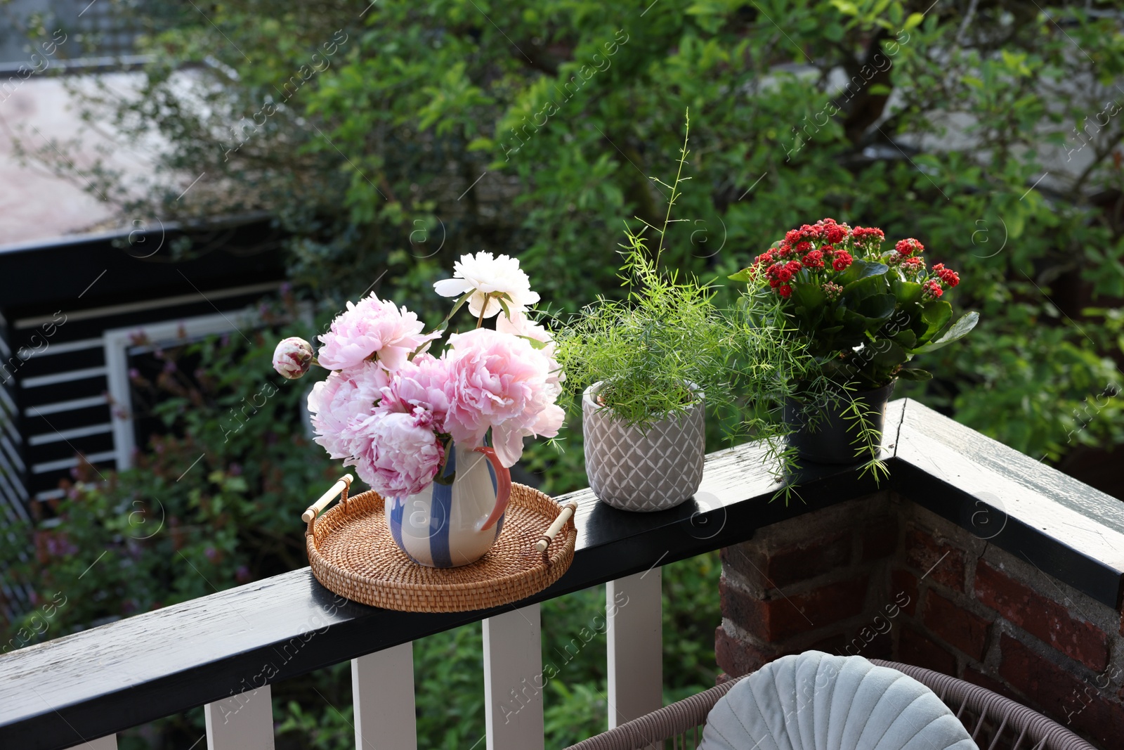 Photo of Balcony garden. Different plants growing on railings outdoors