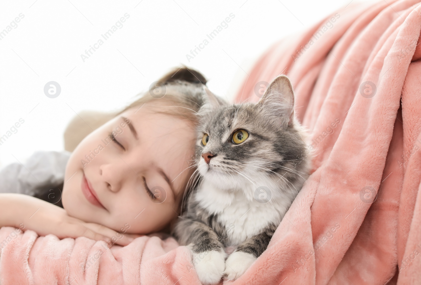 Photo of Cute little girl with cat lying on sofa at home