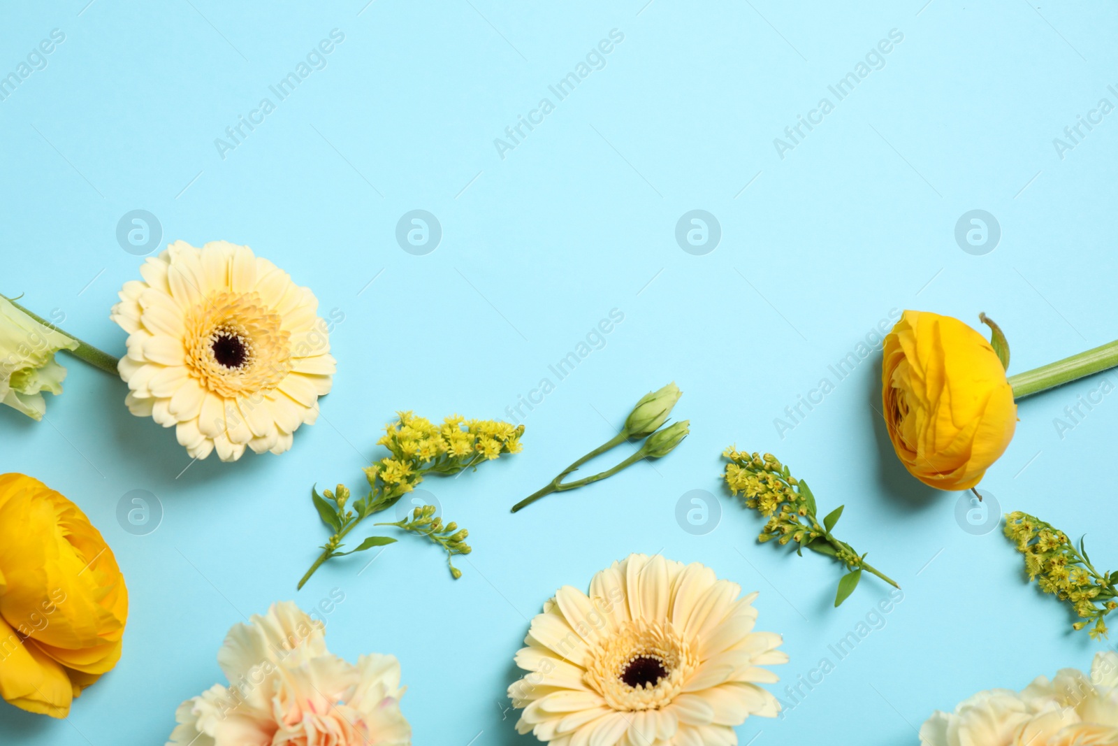 Photo of Floral composition with beautiful flowers on light blue background, flat lay. Space for text