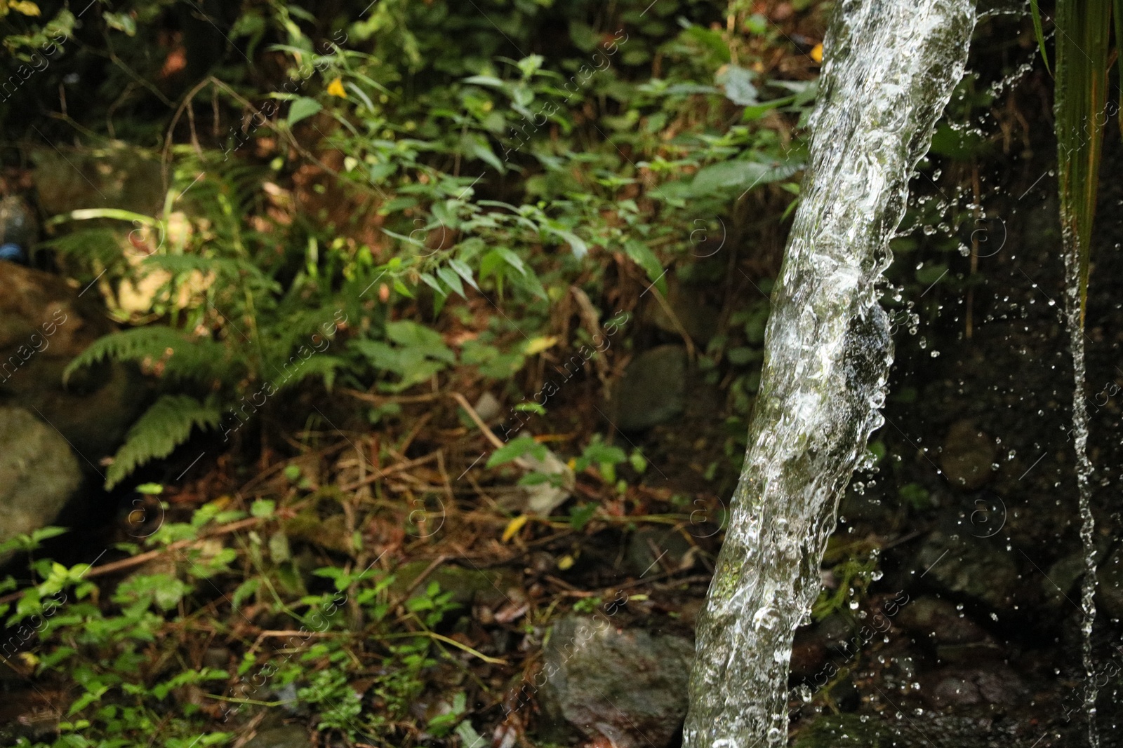 Photo of Picturesque view of mountain waterfall and green plants, closeup. Space for text