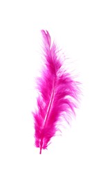 Photo of Fluffy beautiful magenta feather isolated on white