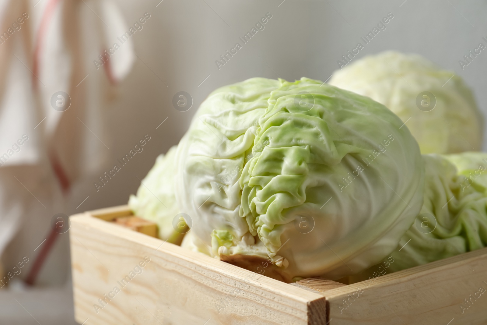 Photo of Fresh ripe cabbages in wooden crate, closeup