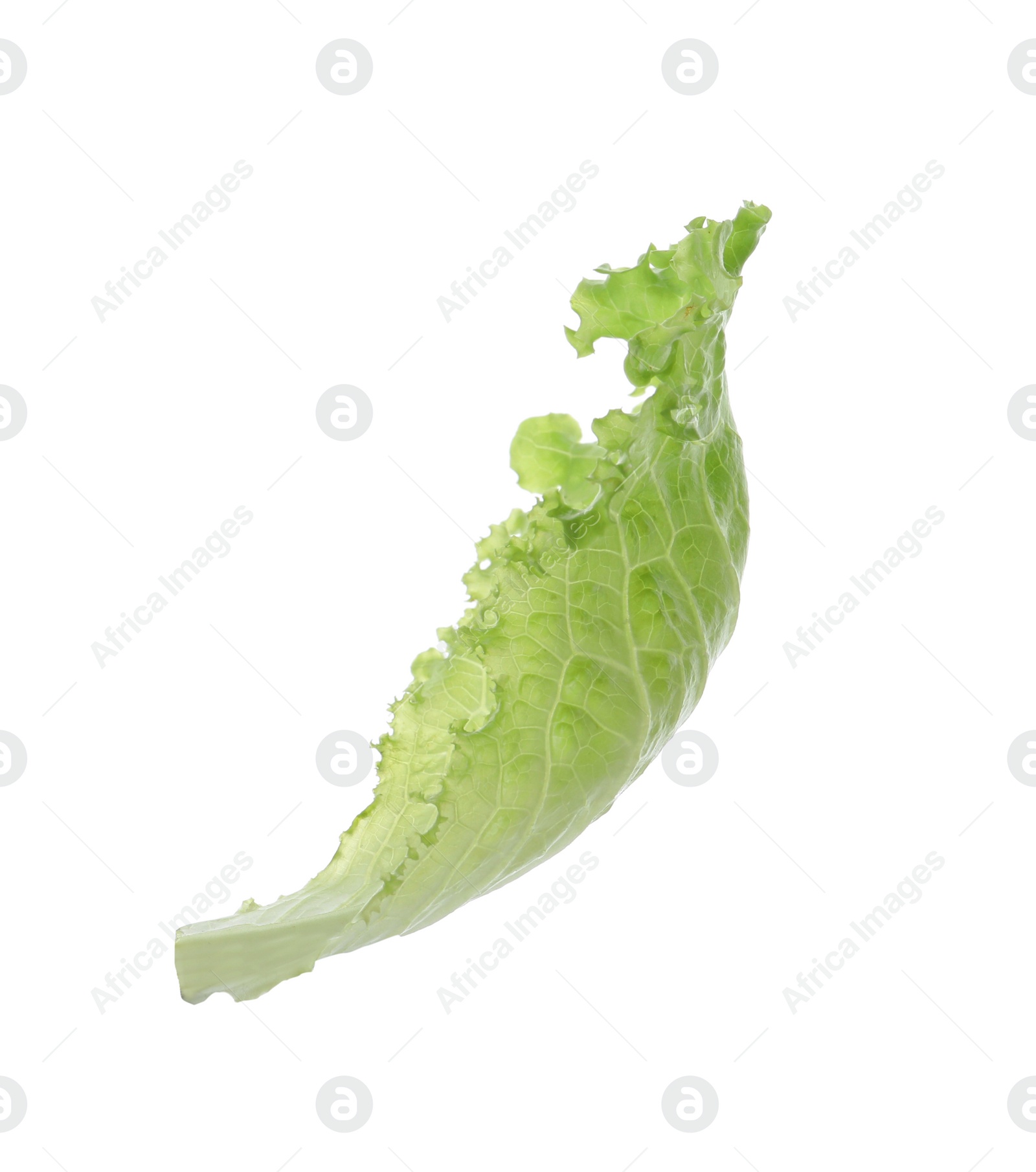 Photo of Leaf of fresh green lettuce isolated on white