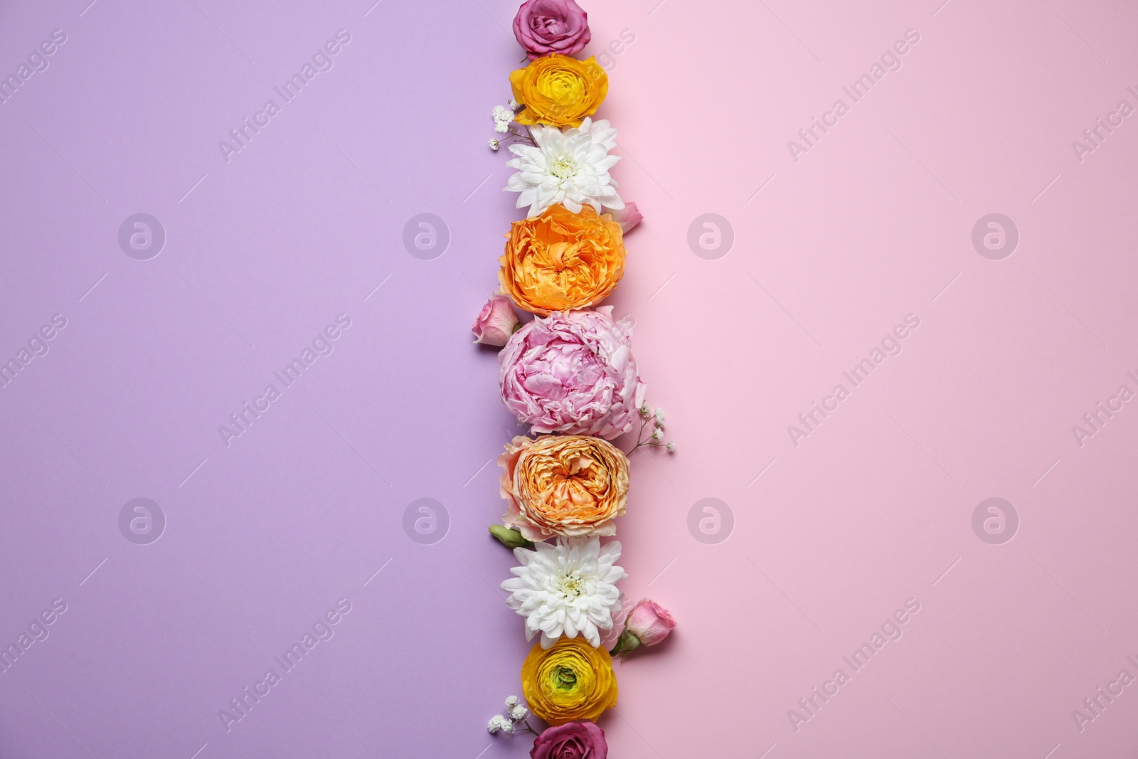 Photo of Floral composition with beautiful flowers on color background, flat lay