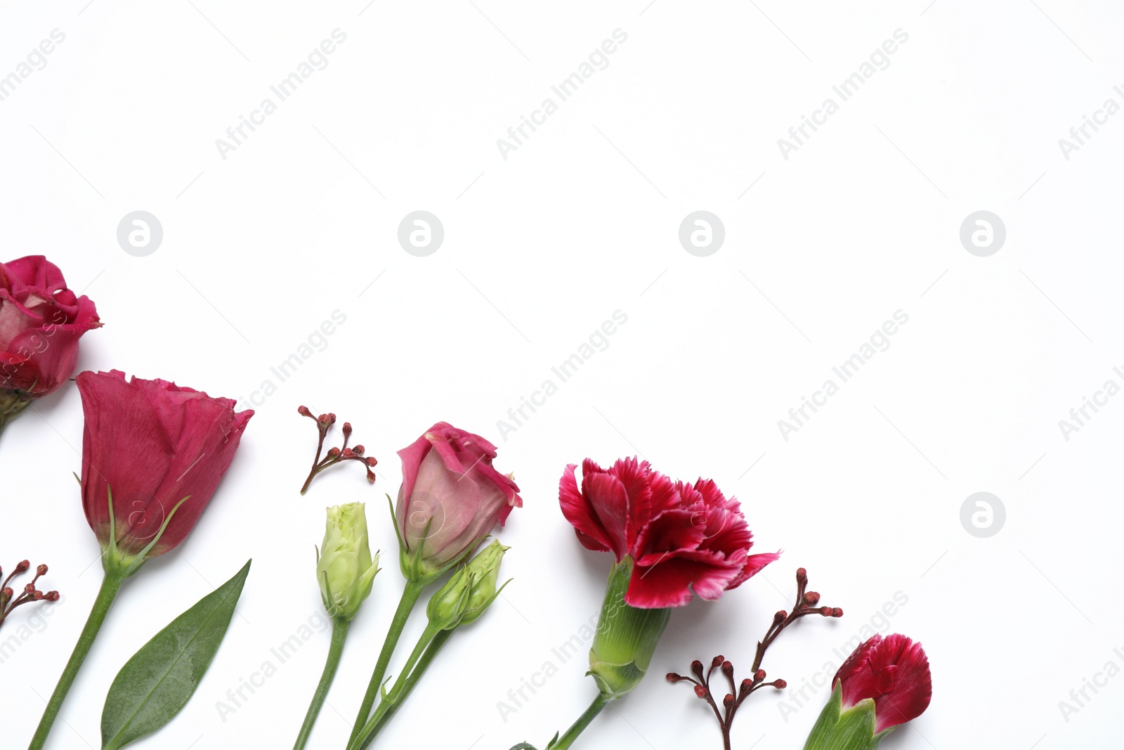 Photo of Beautiful floral composition with flowers on white background, flat lay. Space for text