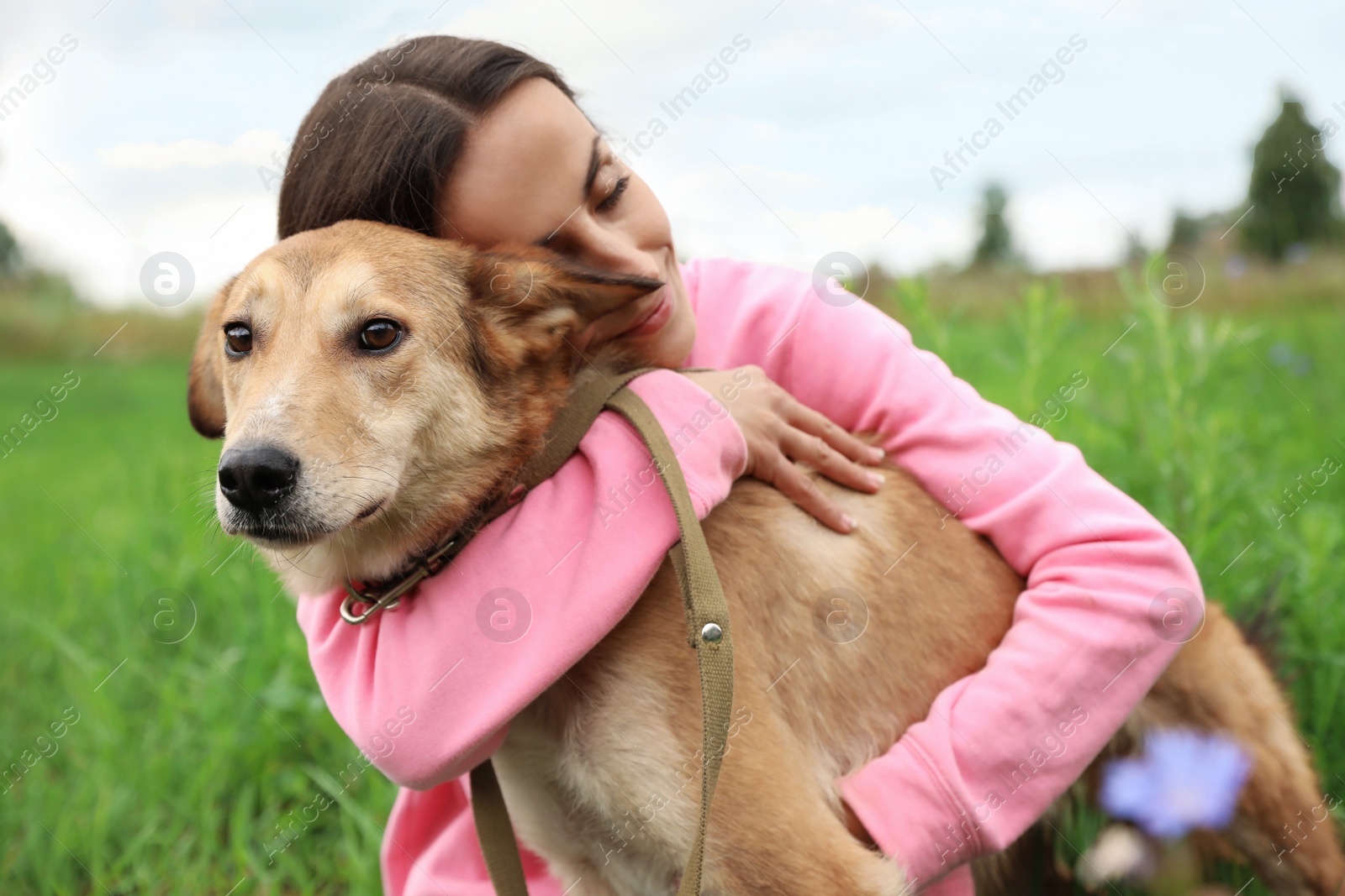 Photo of Female volunteer with homeless dog at animal shelter outdoors