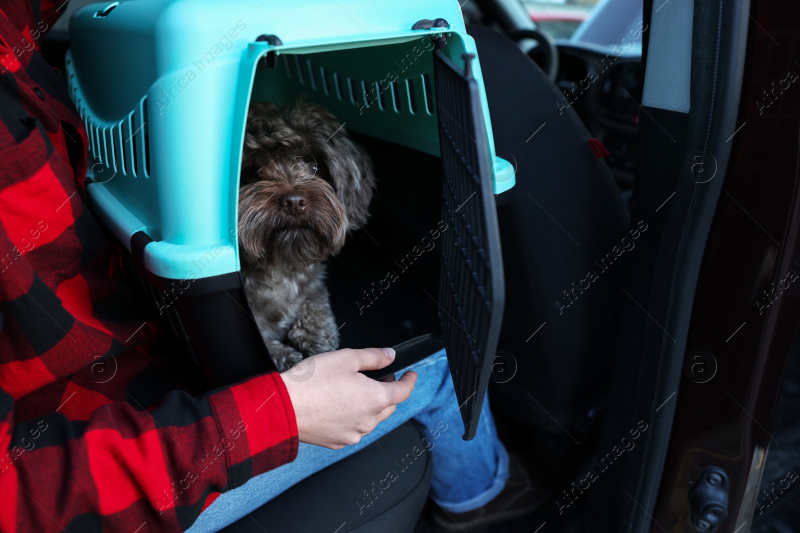 Photo of Woman with pet carrier travelling with her dog by car, closeup. Safe transportation