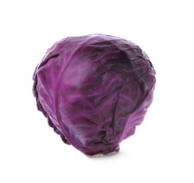 Whole ripe red cabbage on white background