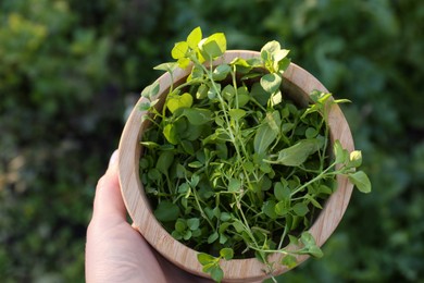 Woman holding wooden bowl with fresh green herbs outdoors, top view
