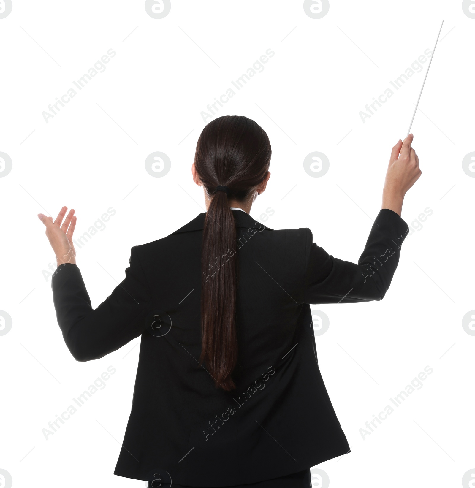 Photo of Professional conductor with baton on white background, back view