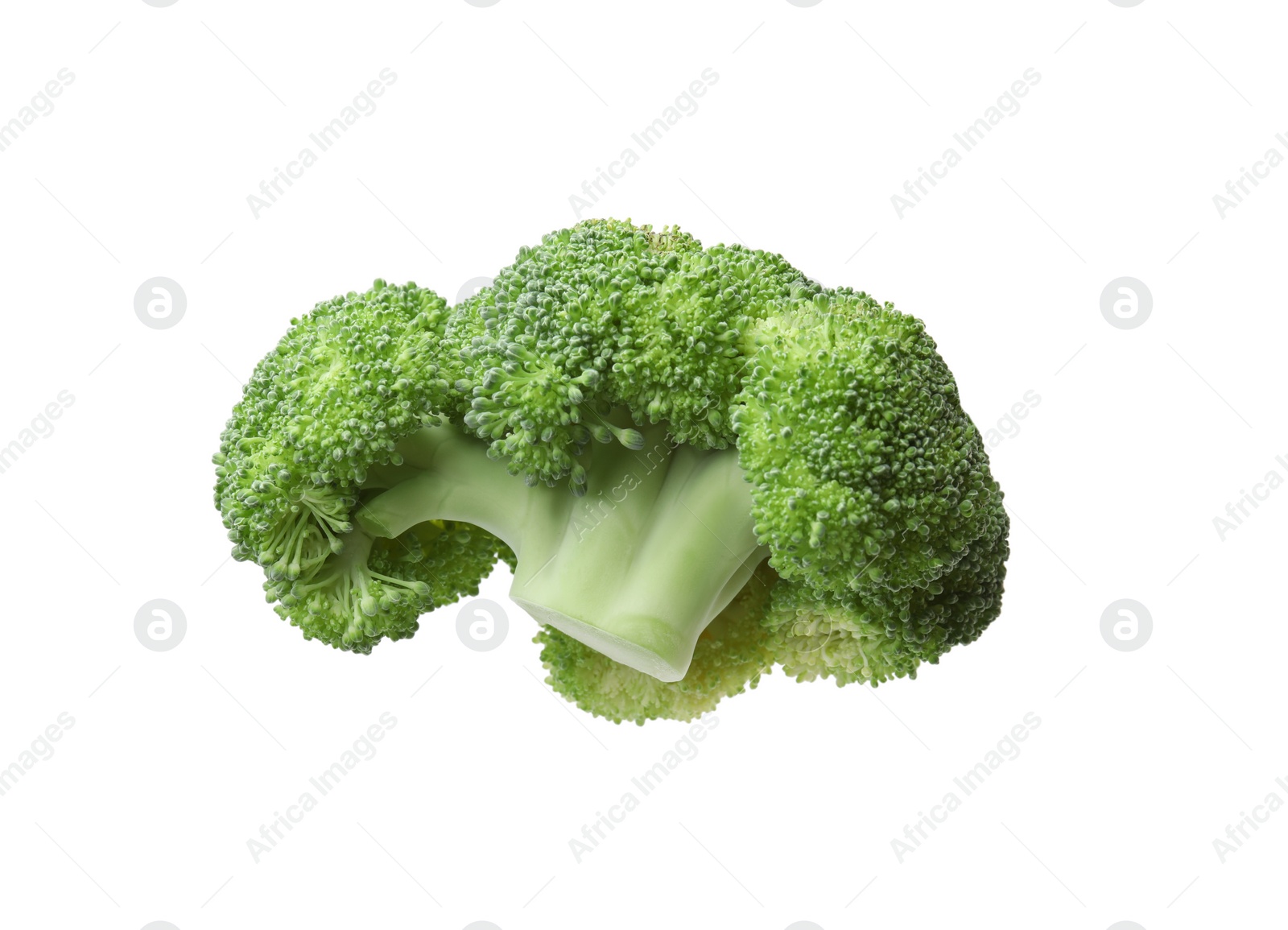 Photo of Fresh raw green broccoli isolated on white